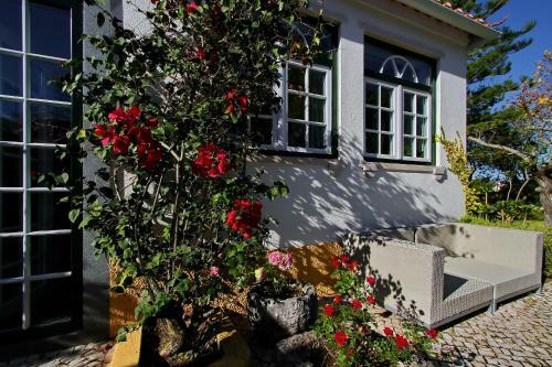 Bed & Breakfast Villa Das Rosas