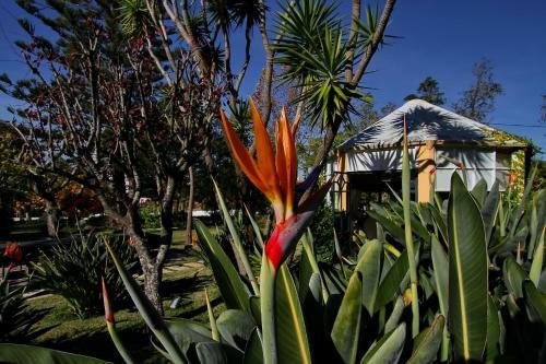 Bed & Breakfast Villa Das Rosas