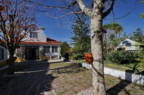 Bed & Breakfast Villa Das Rosas
