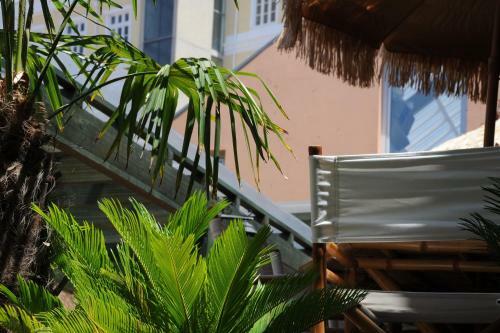 Capim Dourado Apartments Cedofeita