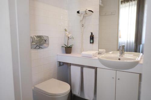 Oporto Tourist Apartments - Sao Domingos