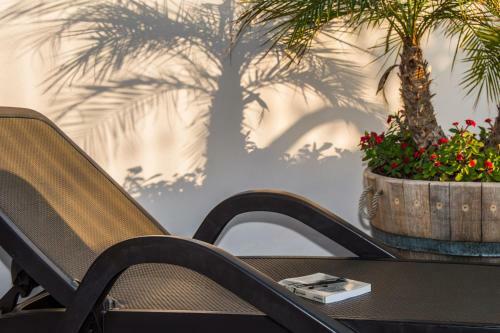 Apartamentos Plaza Cavana 5