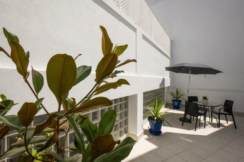 Apartamentos Mombasa 1 Planta
