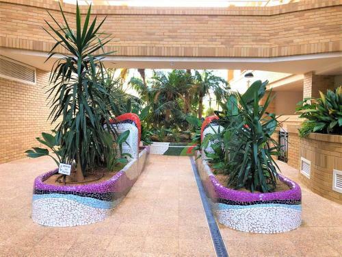 Apartamento Acv - Aguamarina-2� L�nea Planta 6 Norte