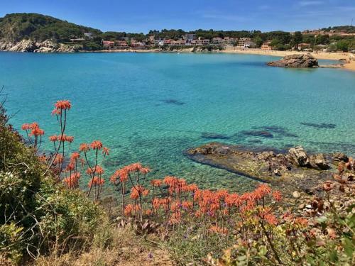 0apartamento Playa de La Fosca-sei302
