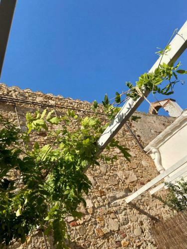 Hotel Ecoturisme Mas Ribas