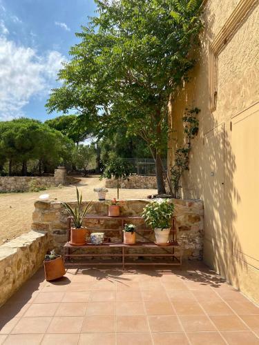 Hotel Ecoturisme Mas Ribas