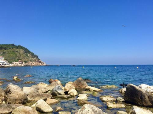 Preci�s Apartament A Primera L�nia de Mar