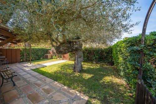 Villa Angela