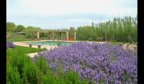 Pals Villa Sleeps 4 With Pool And Air Con