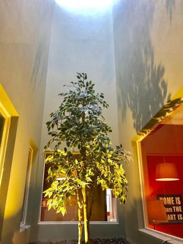 Apartamento Porto Baixa