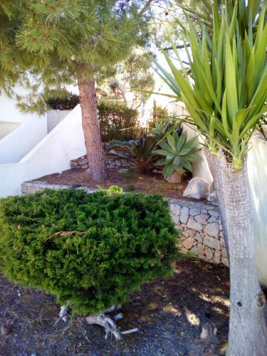 Apartamento Alpen1 Pe�isol