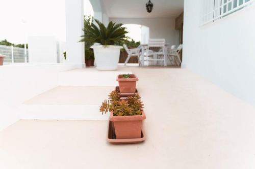 Villa Magn�fica En Pe��scola Con Piscina Privada