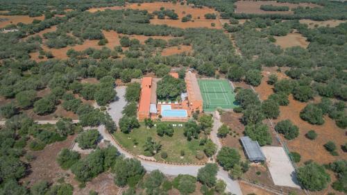 Can Picafort - 32163
