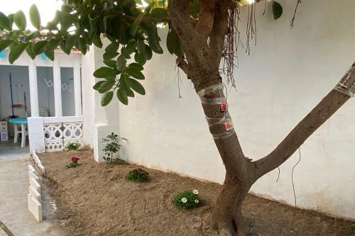 Villa Virtudes