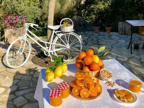 Agroturismo Can Guillo