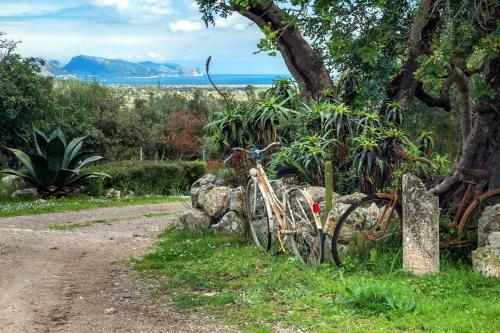 Agroturismo Can Guillo