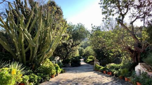 Agroturismo Can Guillo
