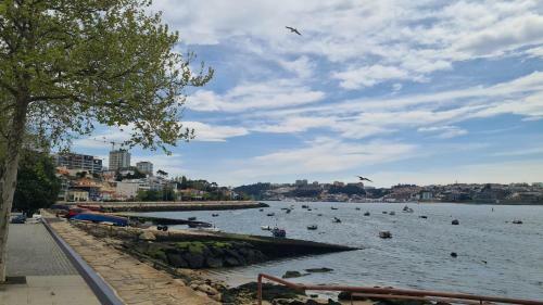 Apartamento Vista Douro E Mar