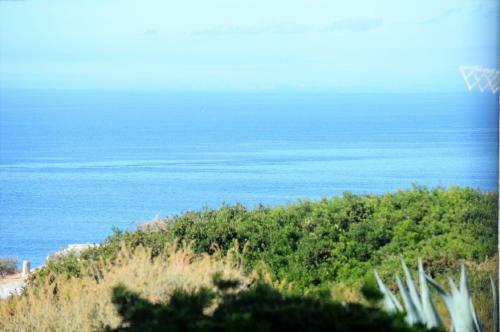 Apartamento Algarpraia