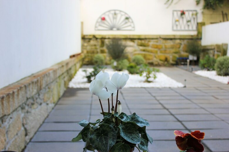 Oporto Trendy Apartments