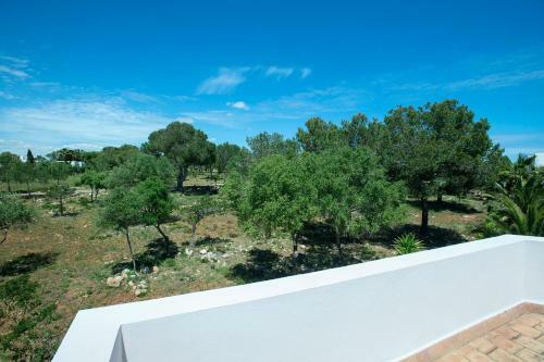 Villa Punta Des Port 17