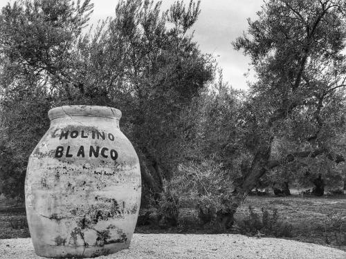 Agroturismo Hacienda Molino Blanco