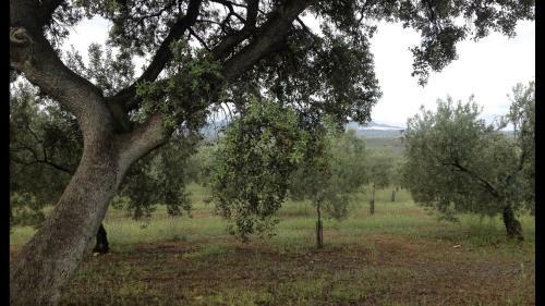 Agroturismo Hacienda Molino Blanco