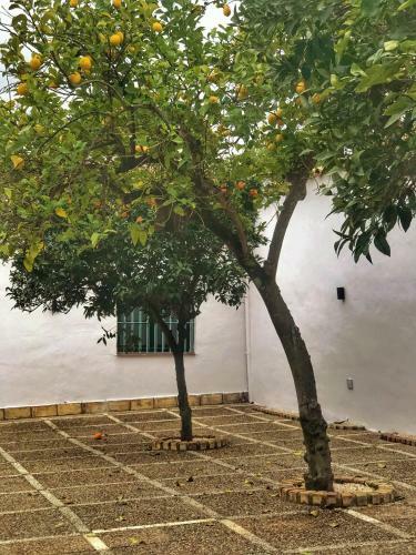 Agroturismo Hacienda Molino Blanco