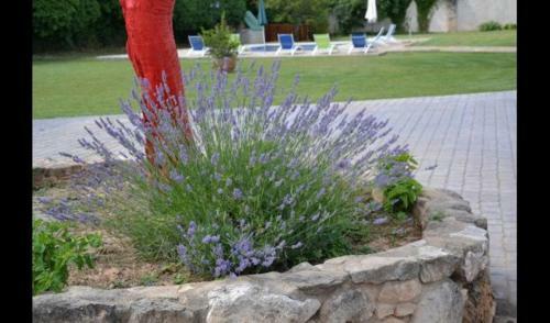 Prat de Comte Villa Sleeps 11 With Pool And Air Con