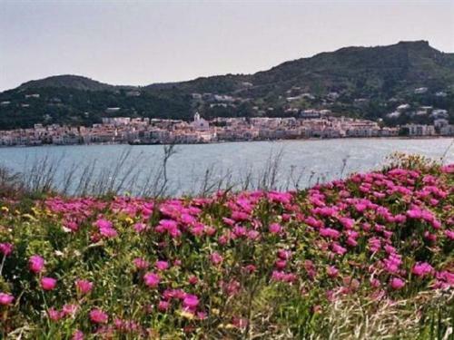 Apartamento Beachfront Tamariua Costa Brava