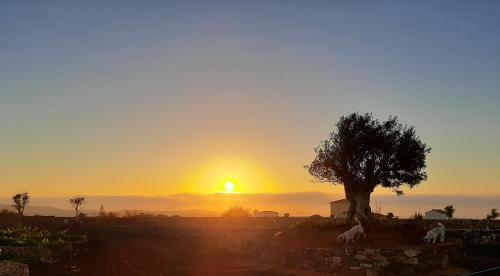 Apartamento Agriturismo El Bounty1