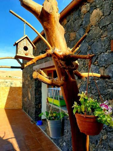 Apartamento Agriturismo El Bounty1