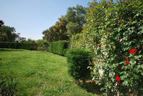 Club Villamar - Minoo