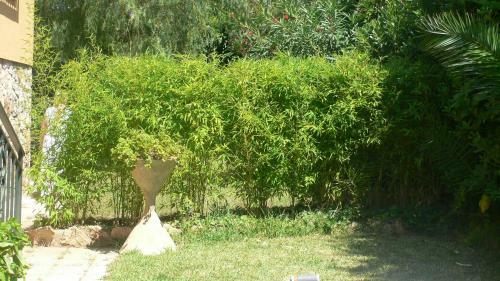 Casa Con Jardin I Piscina