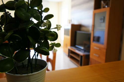 Apartamento Expoholidays - Parque Salinas