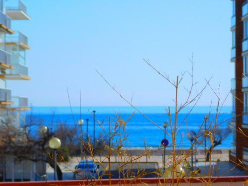 Apartamento Con Gran Terraza Con Vistas Al Mar En Roses