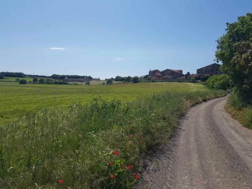 Agroturismo Menta Rural Casa Petfriendly