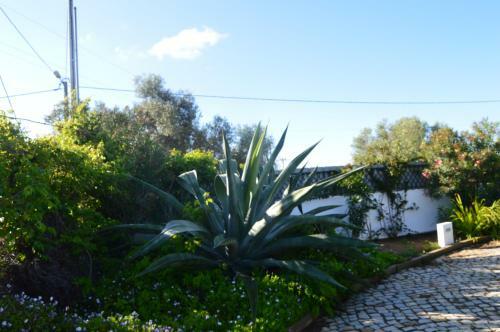Tavira Vacations Apartments