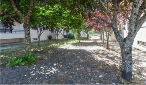 Apartamento Midway To Geres And Braga