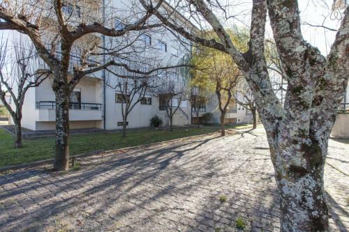 Apartamento Midway To Geres And Braga