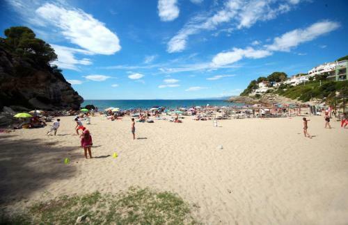 Llorer Planet Costa Dorada