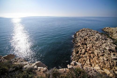 Llorer Planet Costa Dorada