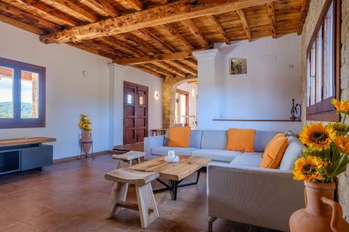 Villa Can Aldriaca