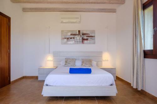 Villa Can Aldriaca