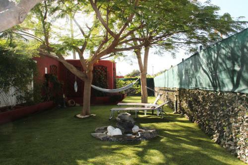 Albaricoques Vivac Bungalow