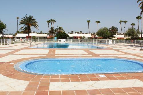 Albaricoques Vivac Bungalow