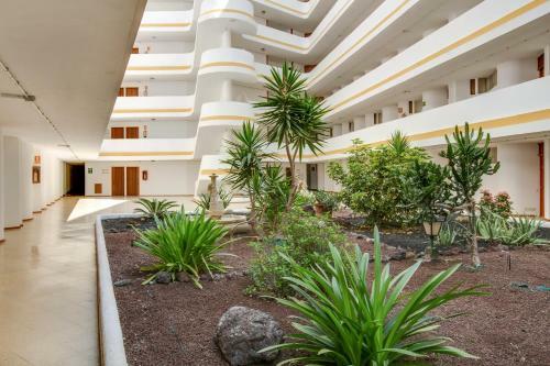 Apartamento Sunset Para�so