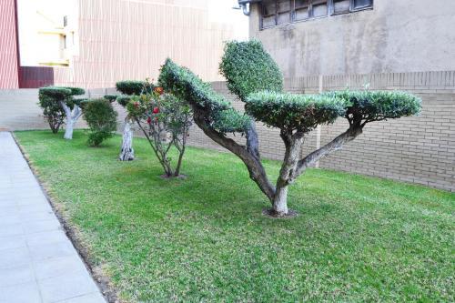 Apartamento Zona Auditorio Sixtomir, 109