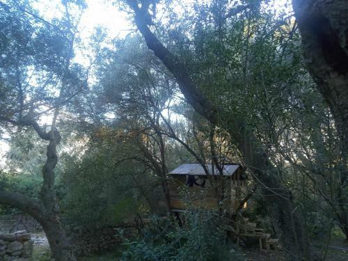Villa Finca Cas Canar
